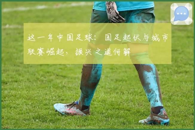 这一年中国足球：国足起伏与城市联赛崛起，振兴之道何解