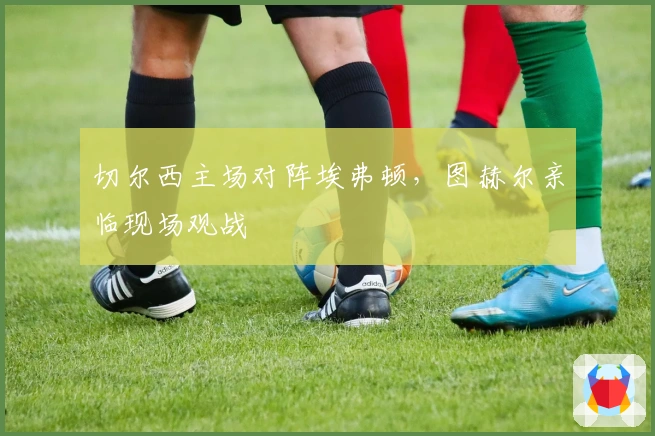 切尔西主场对阵埃弗顿，图赫尔亲临现场观战